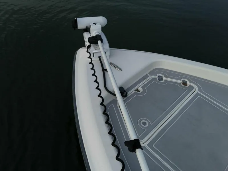 Slide: The Image of Shearwater 2009 - 14