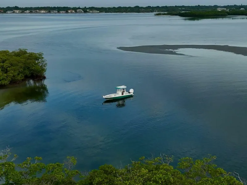 Slide: The Image of Shearwater 2009 - 21