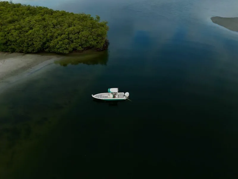 Slide: The Image of Shearwater 2009 - 23