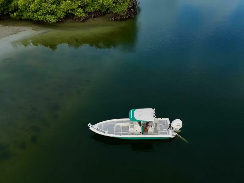 Slide: The Image of Shearwater 2009 - 24