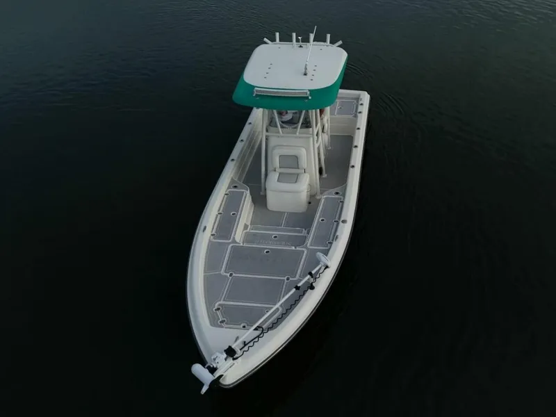 Slide: The Image of Shearwater 2009 - 6
