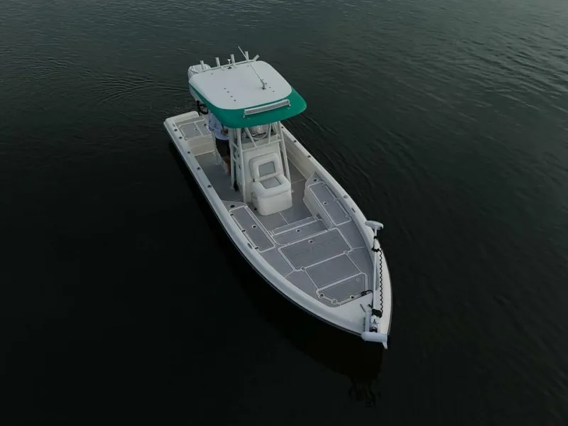 Slide: The Image of Shearwater 2009 - 8