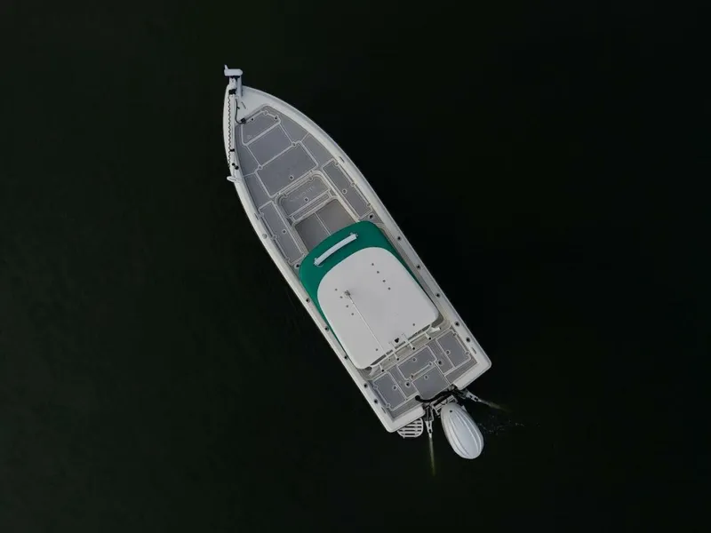 Slide: The Image of Shearwater 2009 - 9