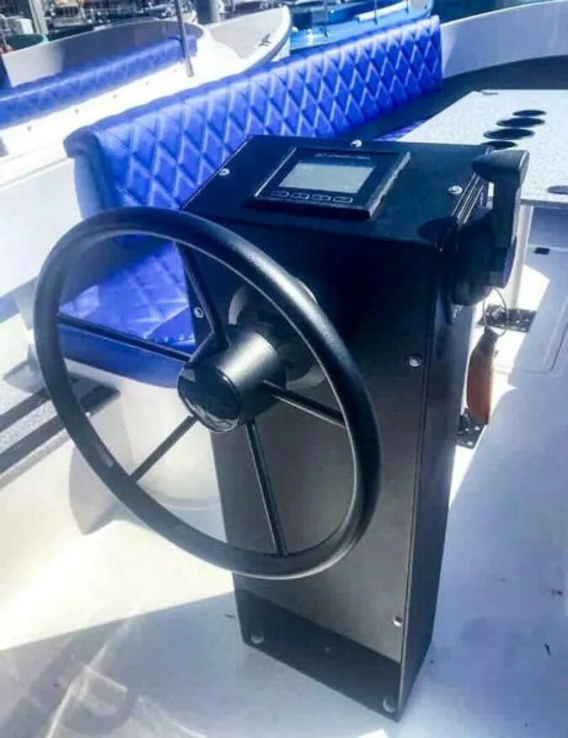 Slide: The Image of Vision Fantail 217 2023 - 5