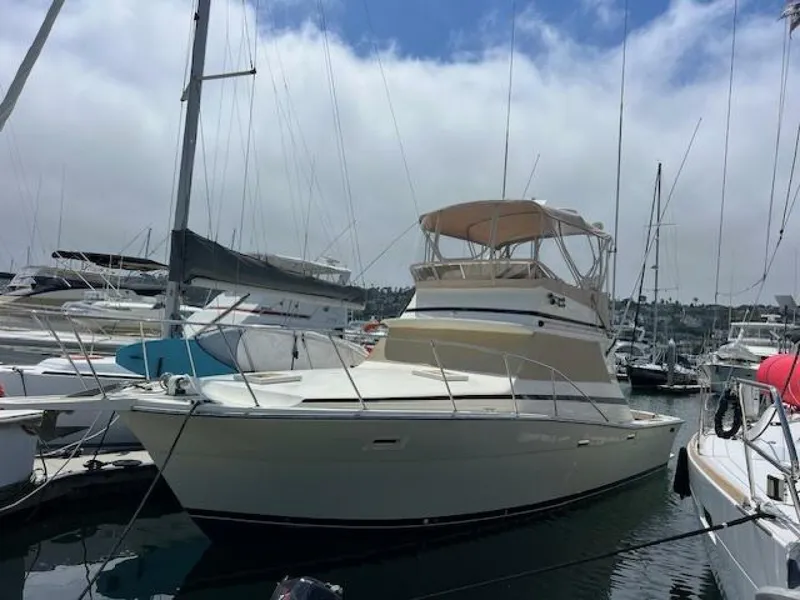 The Image of Viking 35 Flybridge 1981 - 0