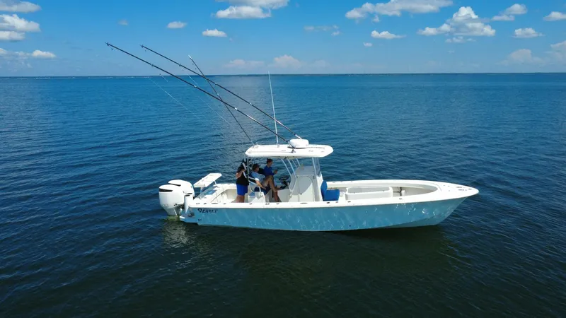 The Image of Egret 290 Offshore 2018 - 0