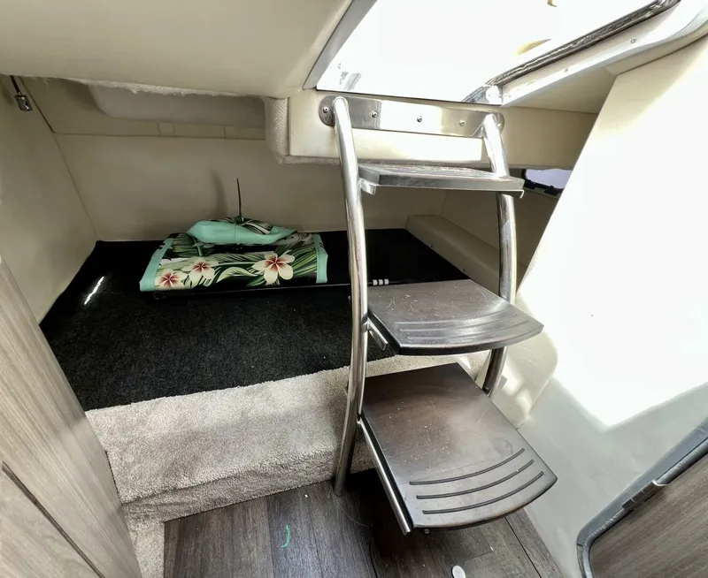 Slide: The Image of Regal 26 XO 2019 - 38