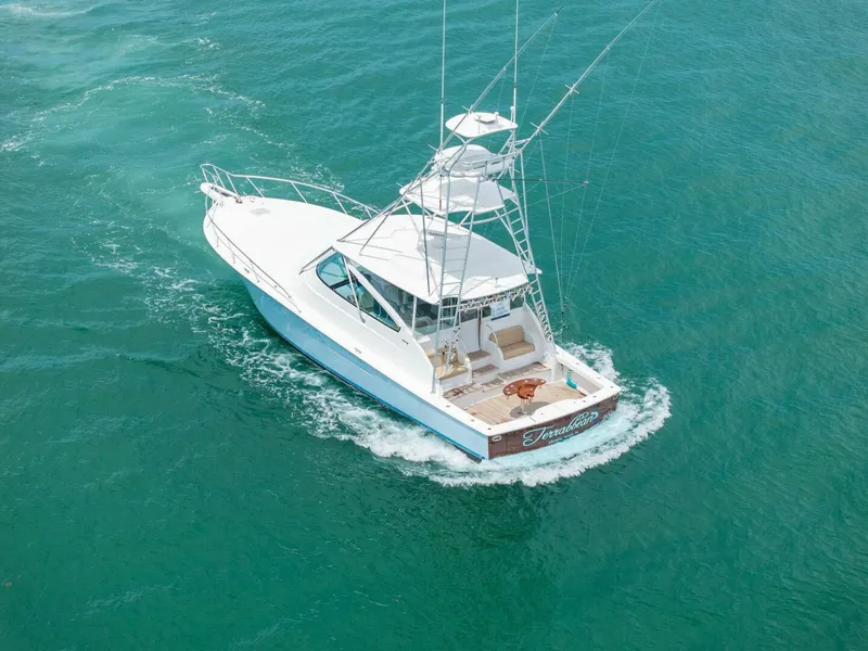 Slide: The Image of Viking 52 OPEN 2015 - 85