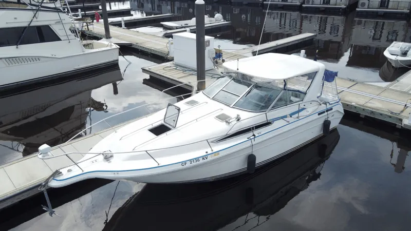 The Image of Sea Ray 1990 - 0
