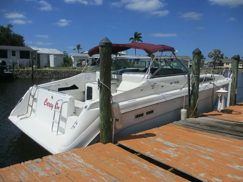 The Image of Sea Ray 1991 - 0