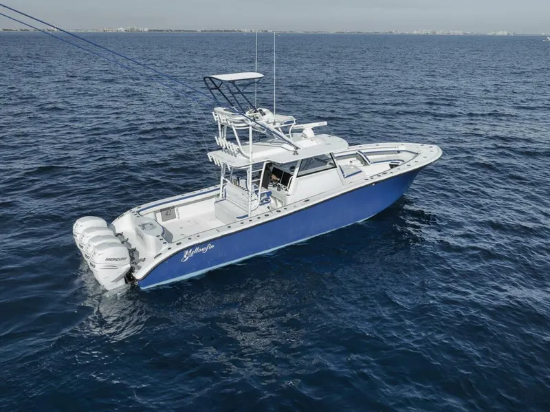 The Image of Yellowfin 2020 - 0