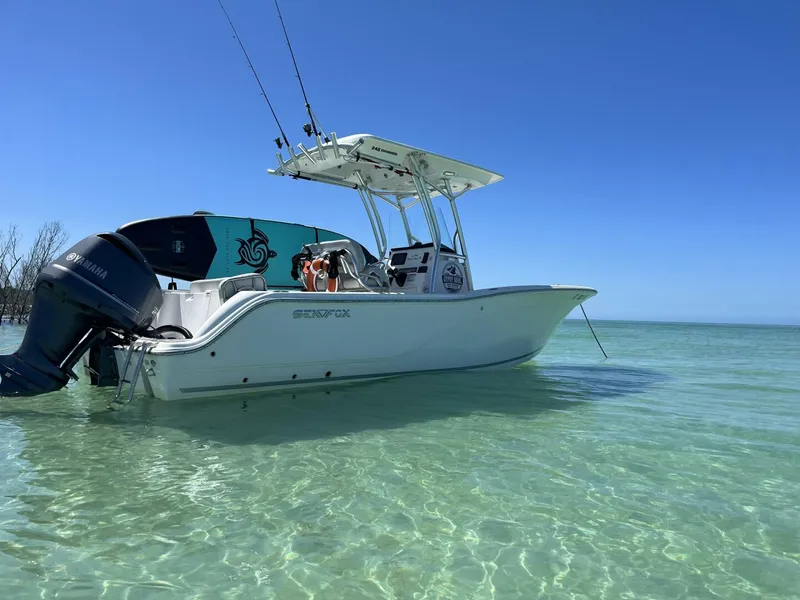Slide: The Image of Sea Fox 2020 - 7