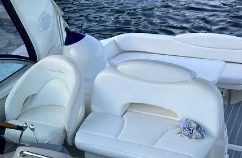 Slide: The Image of Sea Ray Sundancer 2002 - 4
