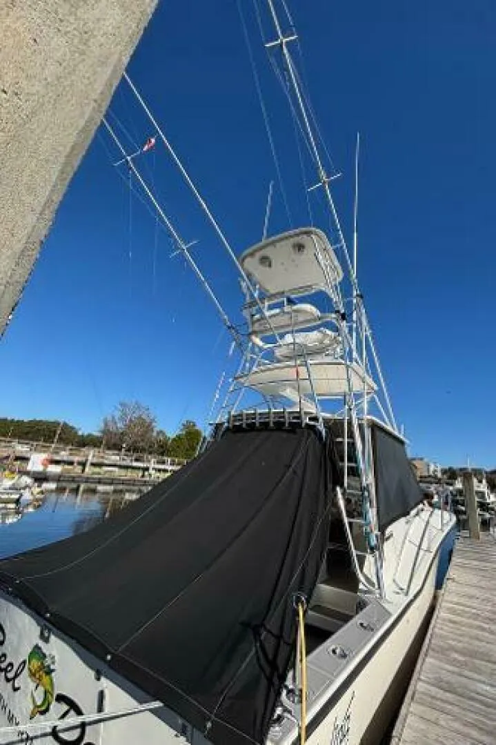 Slide: The Image of Carolina 35 2001 - 21