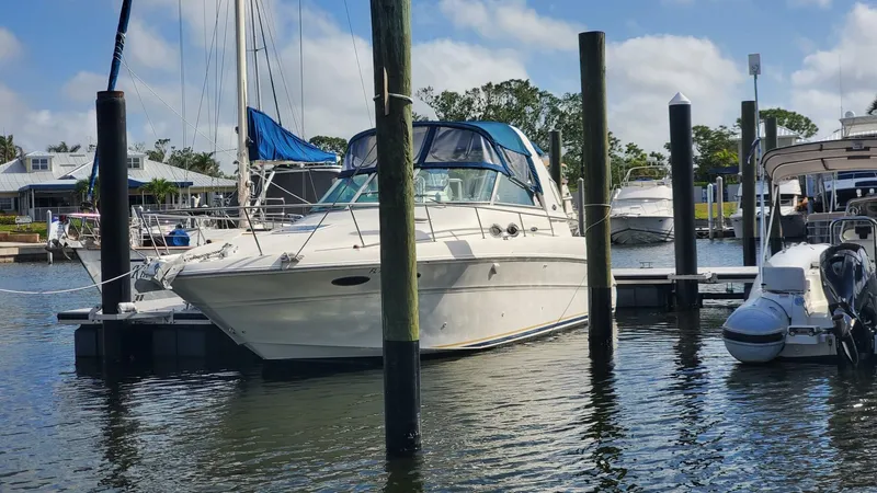 The Image of Sea Ray Sundancer 2001 - 0