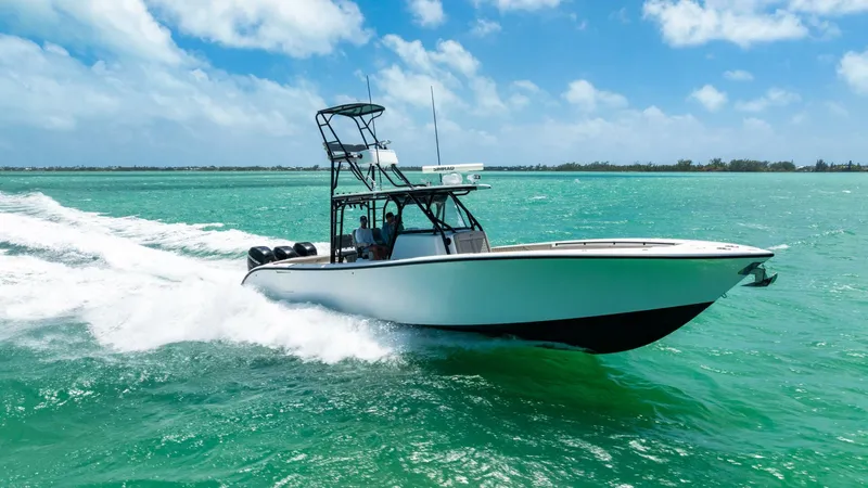 The Image of Yellowfin CC 2015 - 0