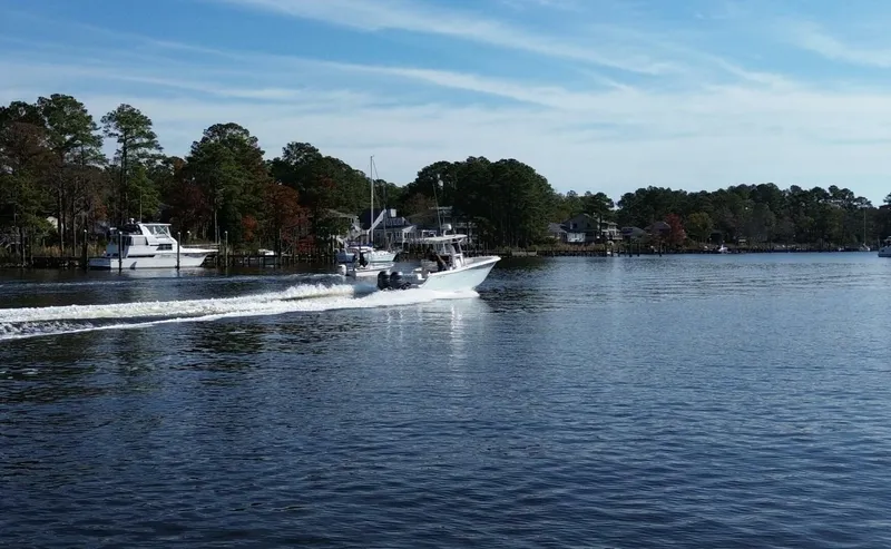 Slide: The Image of Sea Fox 256 2013 - 6