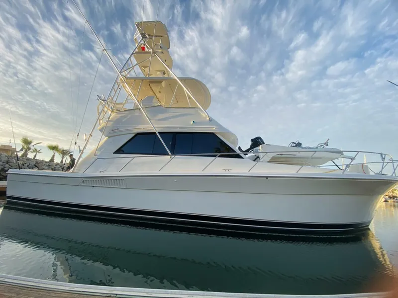 Slide: The Image of Riviera 43 Flybridge 2001 - 24
