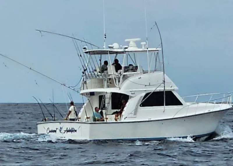 The Image of Henriques 42 Convertible 2006 - 0