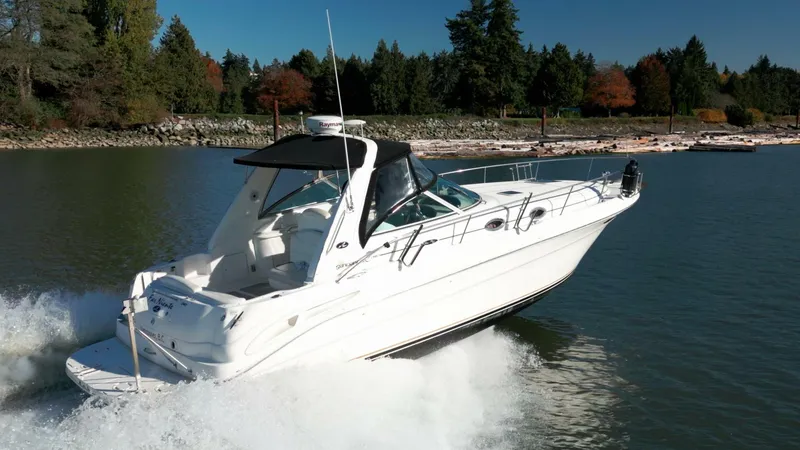 The Image of Sea Ray 2001 - 0