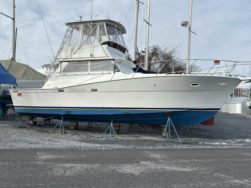 Slide: The Image of Viking Convertible 1973 - 3