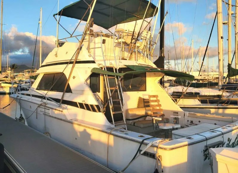 The Image of Bertram 37 Convertible 1988 - 0