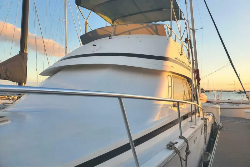 Slide: The Image of Bertram 37 Convertible 1988 - 3