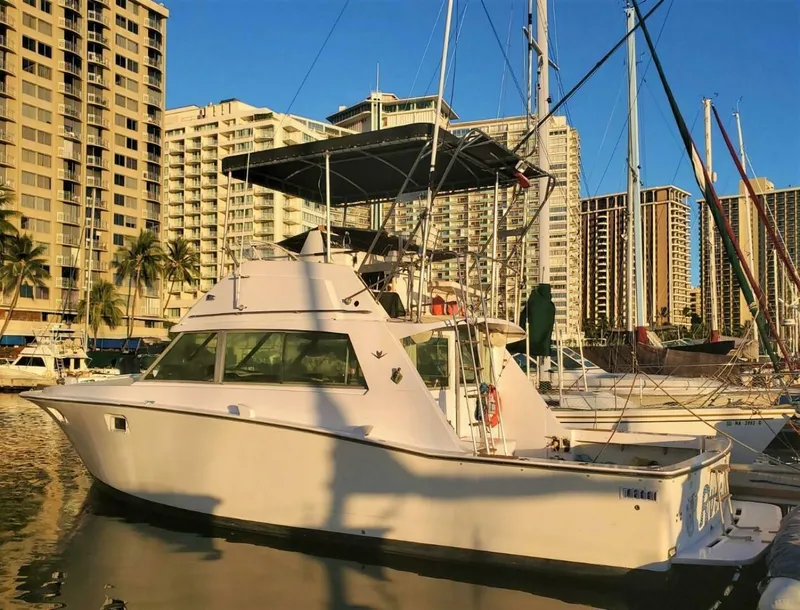 The Image of Bertram 38 Convertible Sportfisher 1979 - undefined