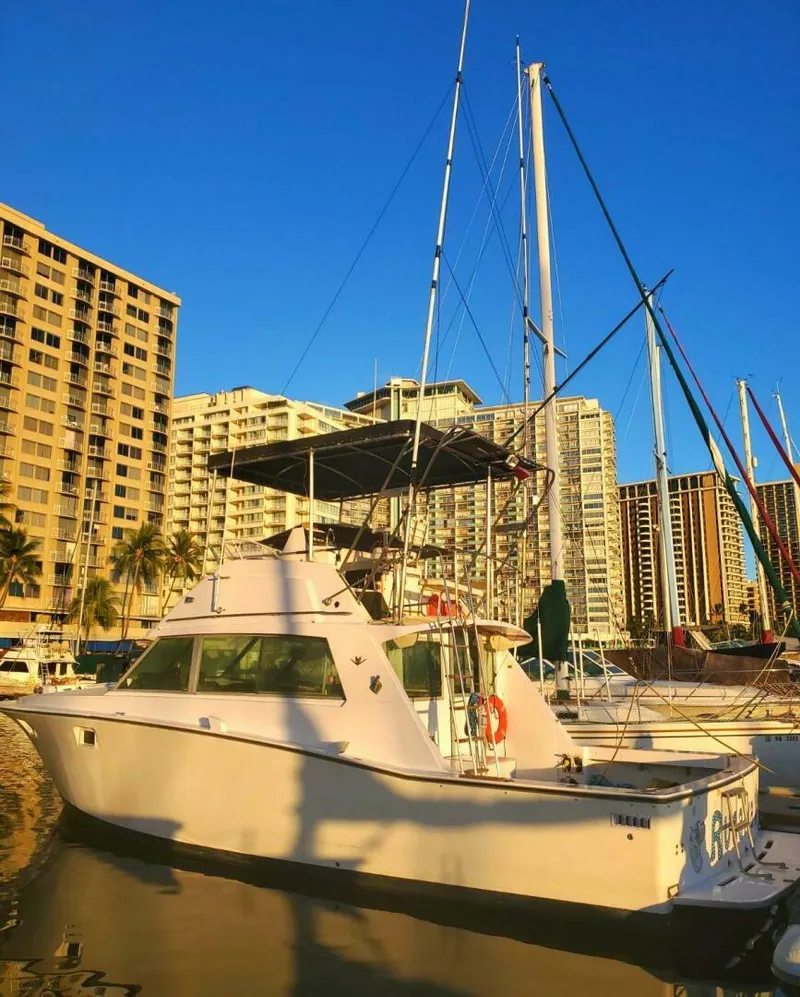 Slide: The Image of Bertram 38 Convertible Sportfisher 1979 - 16