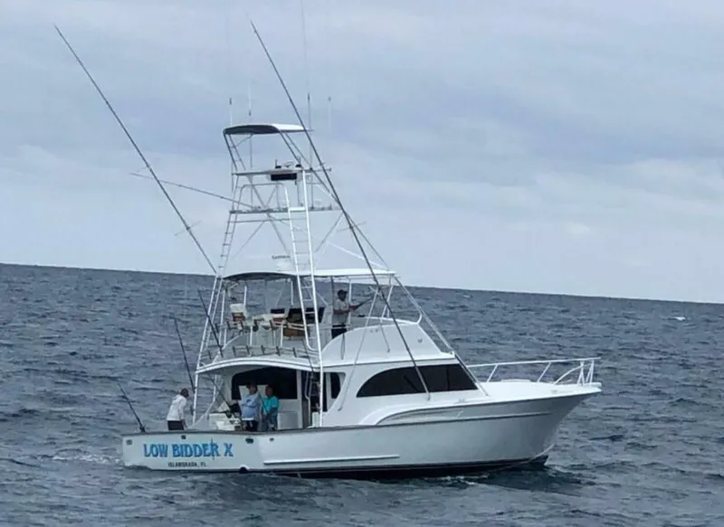 The Image of Sunny Briggs Flybridge Sportfish 1990 - 0