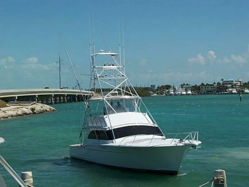 Slide: The Image of Sunny Briggs Flybridge Sportfish 1990 - 60