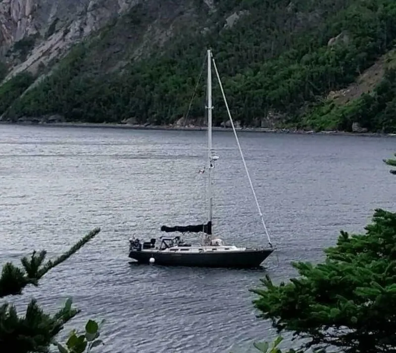Slide: The Image of Gulfstar 40 1977 - 6
