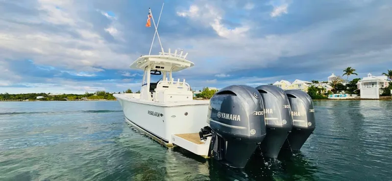 Slide: The Image of Regulator Marine 34 2021 - 2