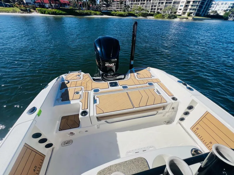 Slide: The Image of NauticStar 251 Hybrid 2020 - 27