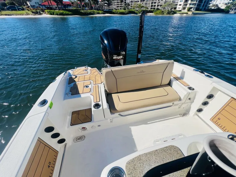 Slide: The Image of NauticStar 251 Hybrid 2020 - 28