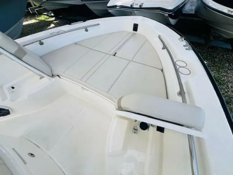 Slide: The Image of Boston Whaler 250 Dauntless 2023 - 11
