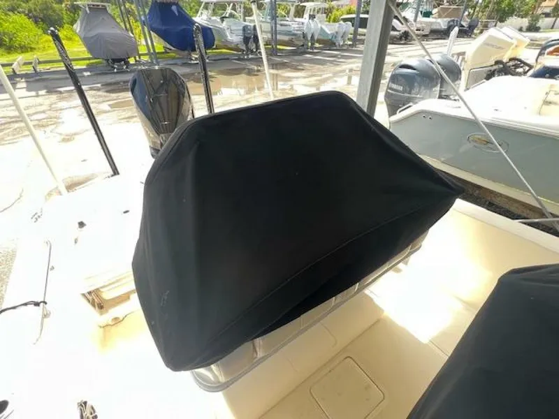 Slide: The Image of Boston Whaler 250 Dauntless 2023 - 34