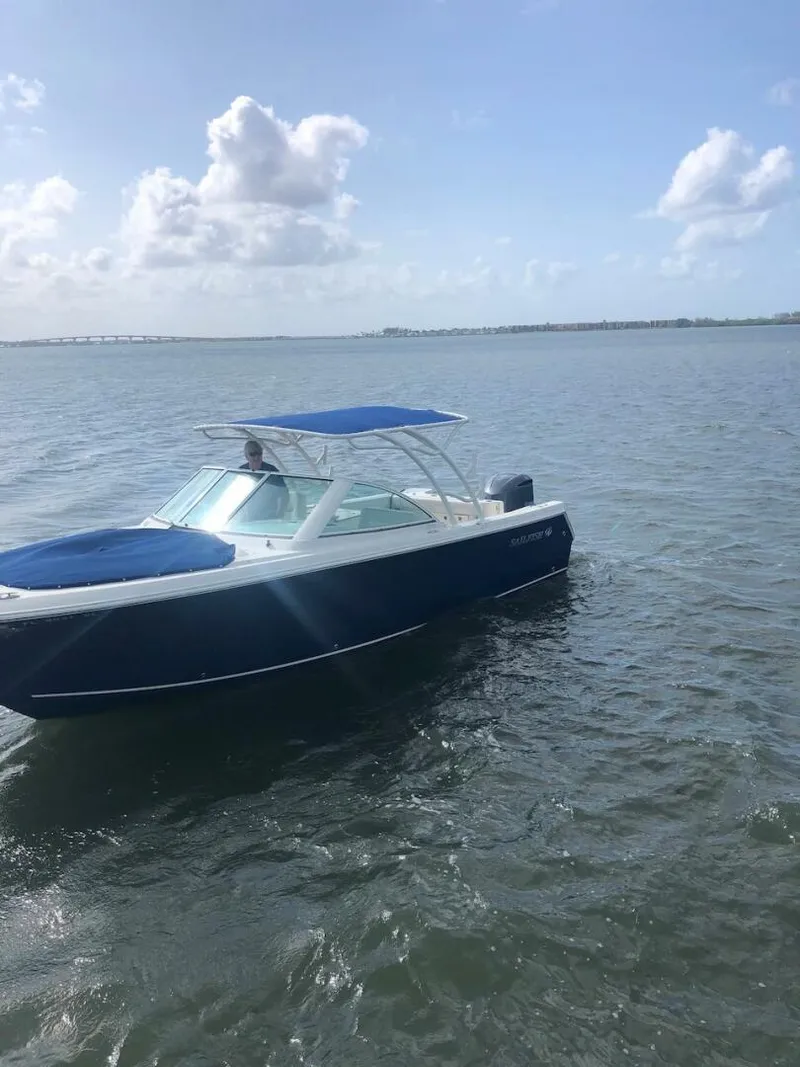 The Image of Sailfish 275 DC 2015 - 0