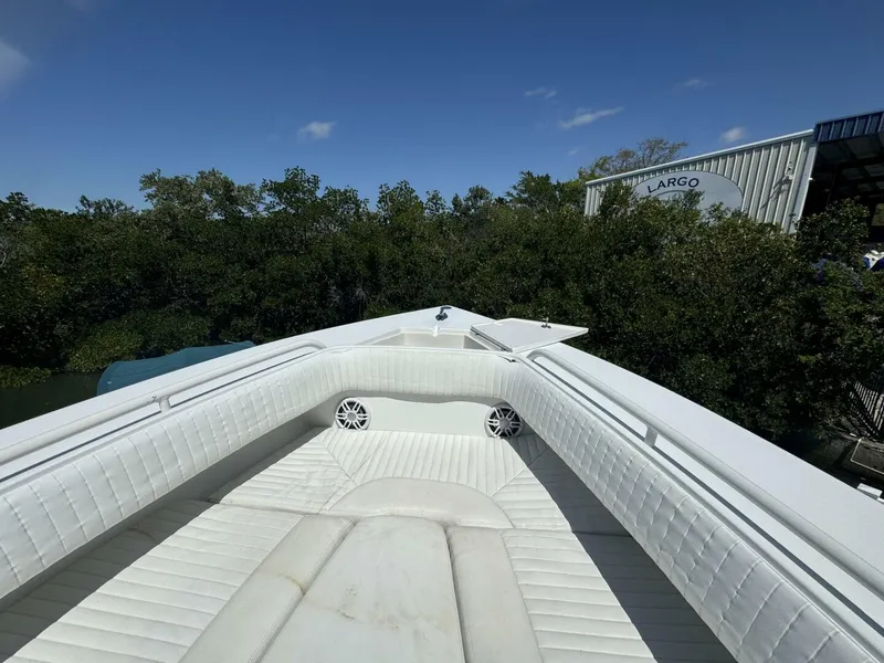 Slide: The Image of Jupiter 31 CC Forward Seating 2006 - 32