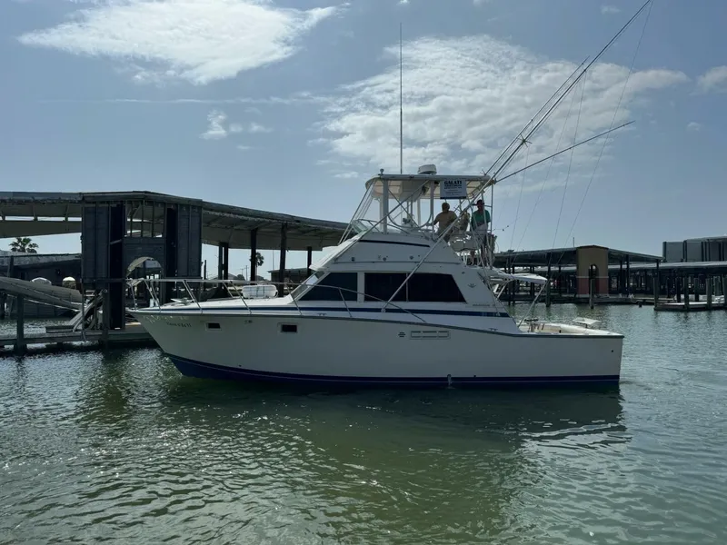 Slide: The Image of Bertram 385 Convertible 1983 - 32