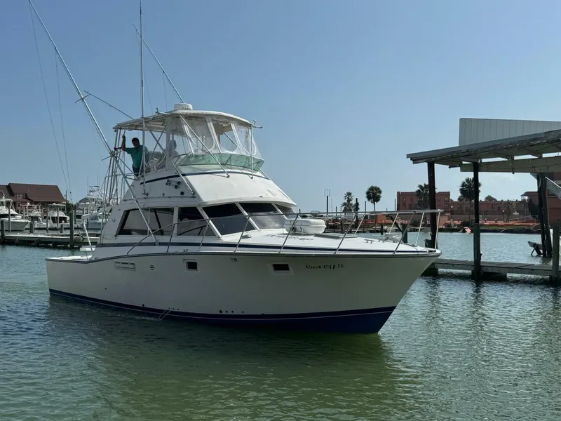 Slide: The Image of Bertram 385 Convertible 1983 - 34