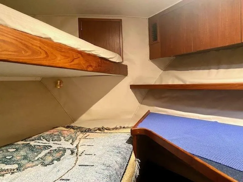 Slide: The Image of Custom Carolina 56 EAST BAY 2000 - 8