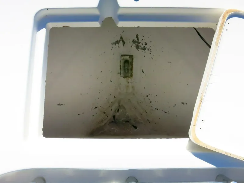 Slide: The Image of Cobia 237 CC 2020 - 12