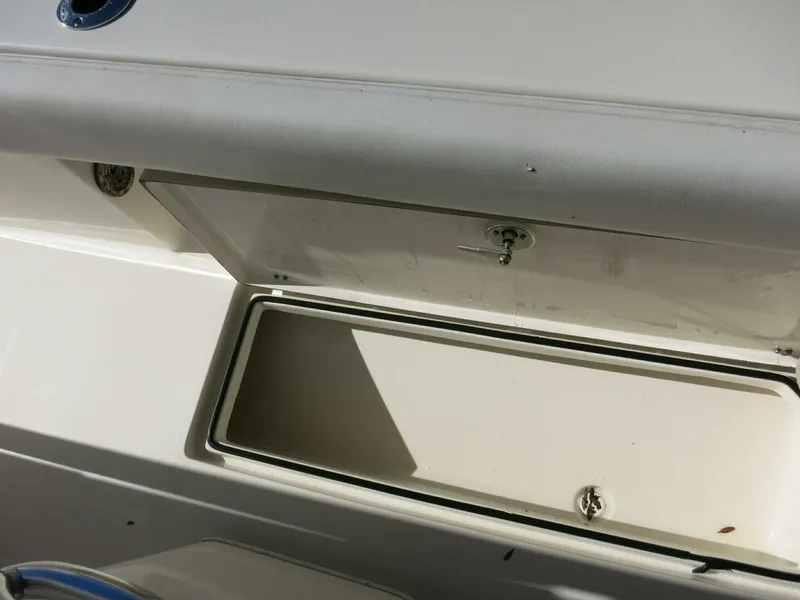Slide: The Image of Cobia 237 CC 2020 - 7