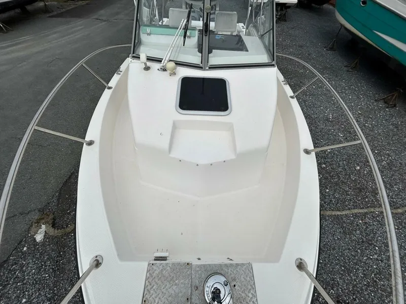 Slide: The Image of Robalo 1996 - 20