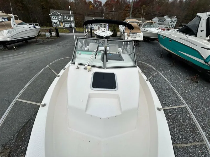 Slide: The Image of Robalo 1996 - 21