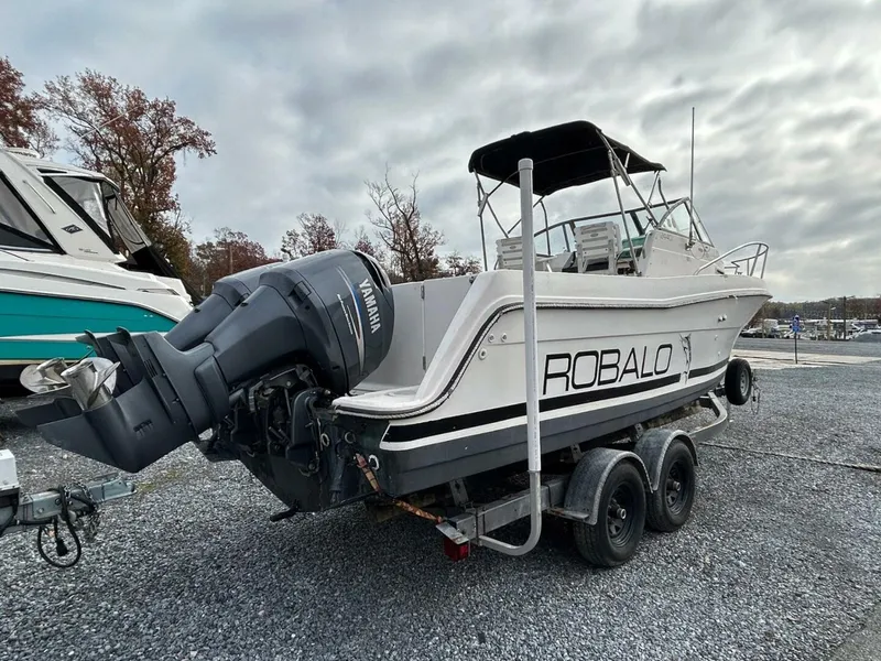 Slide: The Image of Robalo 1996 - 3