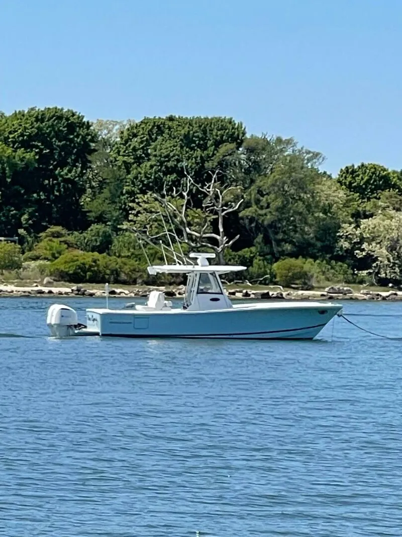Slide: The Image of Regulator Marine 31 FS with Mezz 2020 - 8