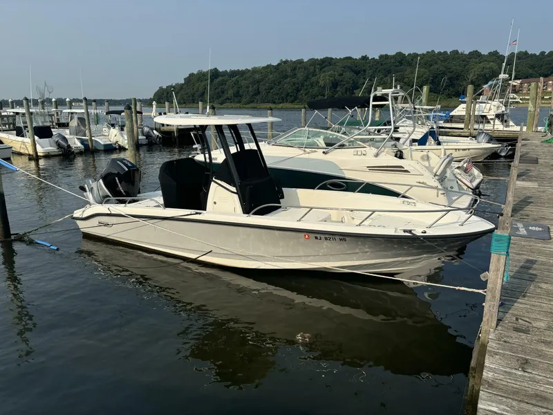 The Image of Boston Whaler 250 Dauntless 2023 - 0