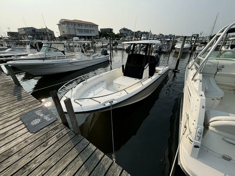 Slide: The Image of Boston Whaler 250 Dauntless 2023 - 2